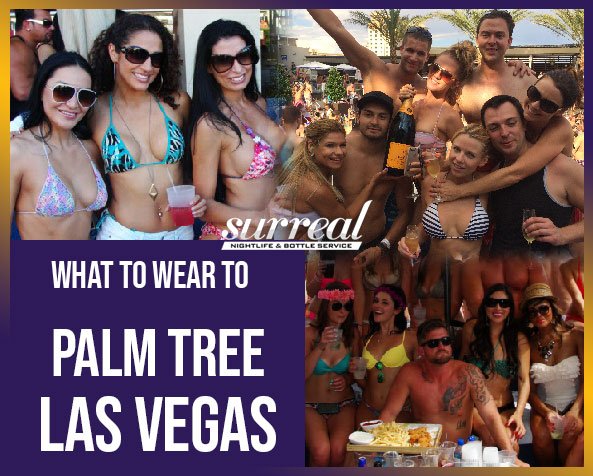 what-to-wear-to-palm-tree-las-vegas-sn