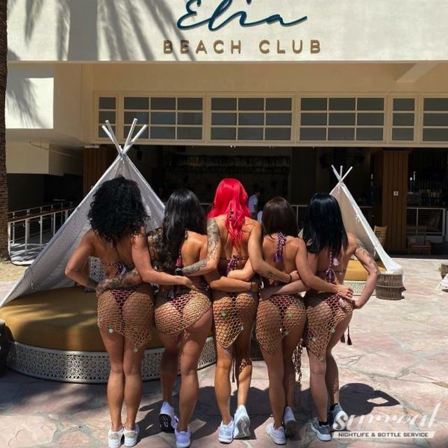 elia beach club