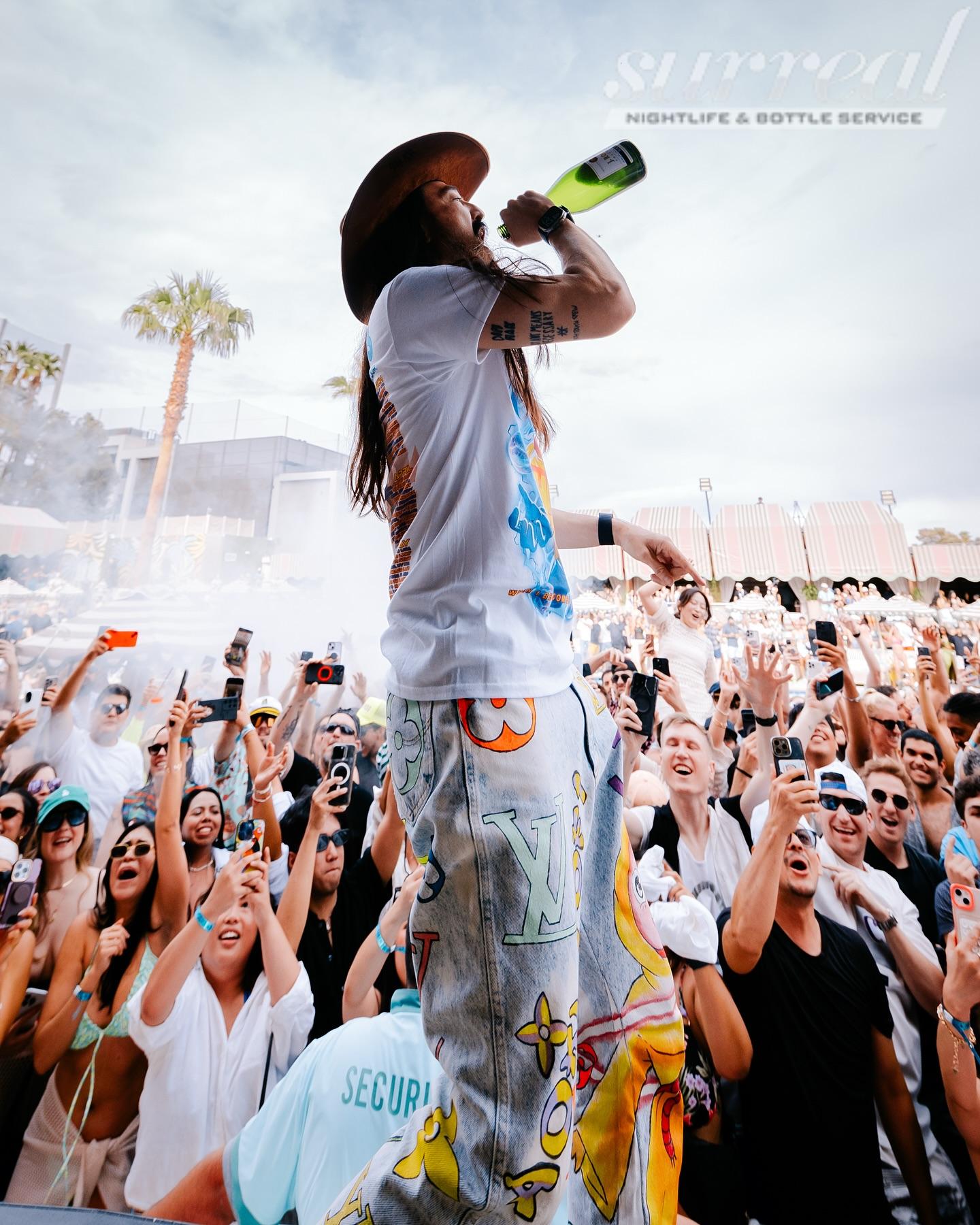 steve-aoki-palm-tree-dj